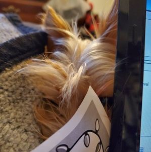 Meet your Posher, Carla